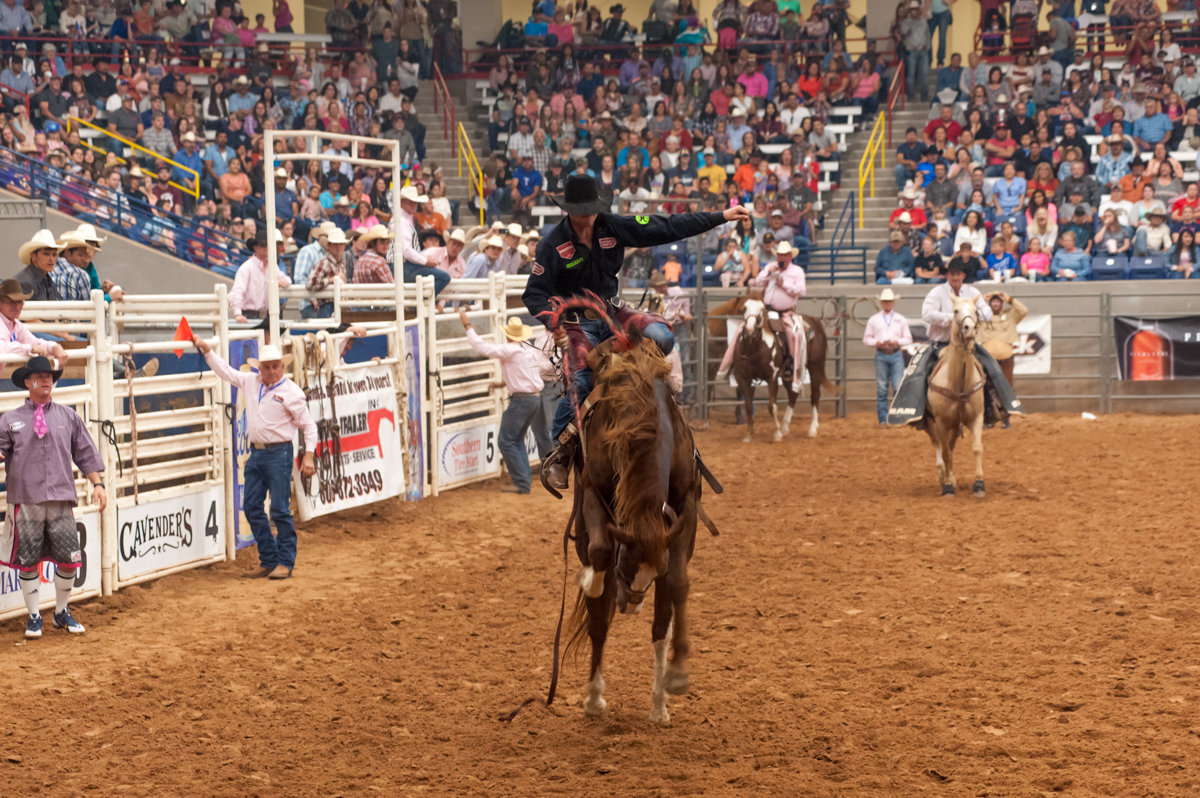 Tri State Fair and Rodeo Shaie Williams