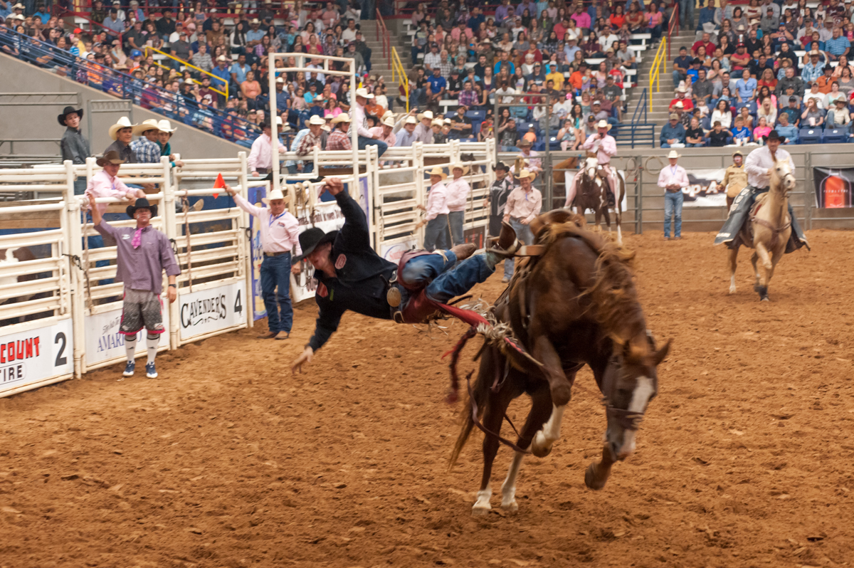 Shaie Williams for AGN Media. Sterling Crawley gets a no score in the saddle bronc riding at the Tri State Fair PRCA Rodeo held at Amarillo National Center in Amarillo, TX  on September 24, 2016.