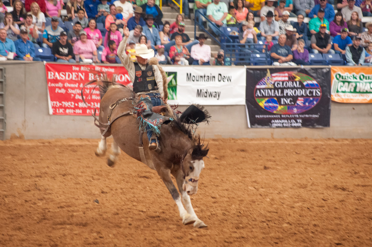 Tri State Fair And Rodeo Shaie Williams 1097